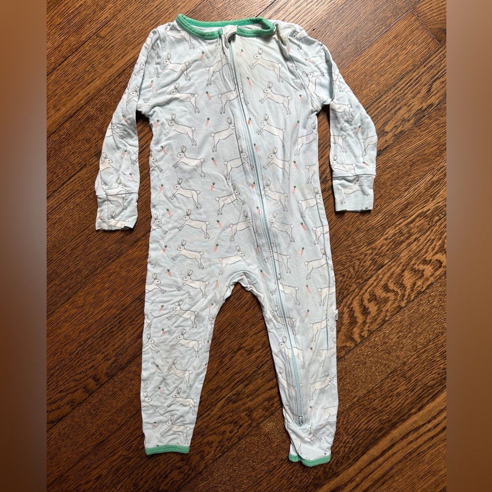 Freebirdees Bunny & Carrots light blue coveralls (12-18 mos)